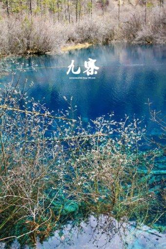 新能源如火如荼，风电、光伏谁才是真的王者？游戏画面